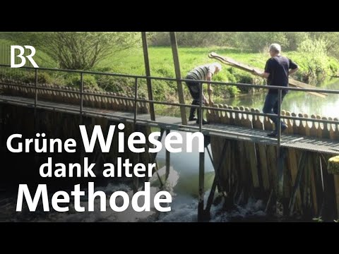 Fränkische Wässerwiesen gegen Trockenheit: Gras vor Dürre schützen | Unter unserem Himmel | BR