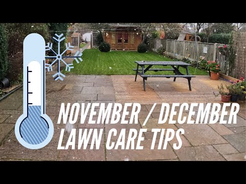 Lawn Care Tasks To Do In December