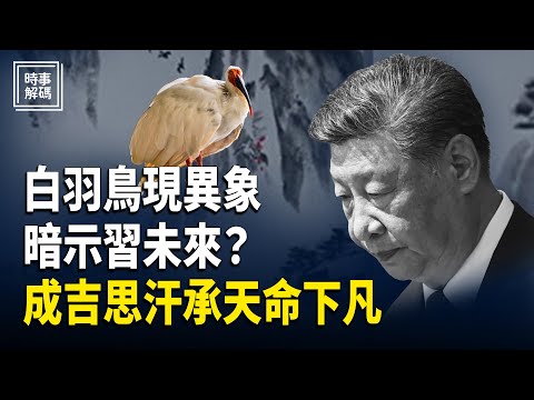 白羽之鳥現異象？從“平平”看習近平未來走向；真人丘處機透天機，成吉思汗承天命下凡 主播：張恩、文傑【時事解碼】