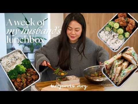 a week of husband's lunchbox ft. easy & healthy recipes  🍱 🍜  ep.9