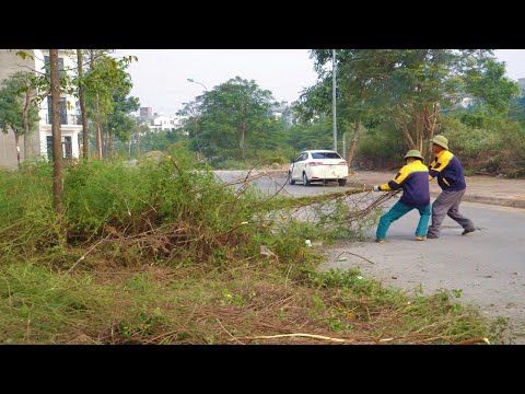 SURPRISE when sidewalk tiles gradually appeared, Abandoned sidewalks were cleaned up and revived