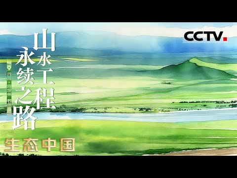 《生态中国》05 山水工程 永续之路：“山水工程”正以“生命共同体”的智慧 筑牢国家生态安全的基石【CCTV纪录】