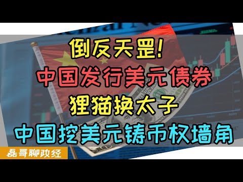 倒反天罡！中国挖美元铸币权墙角！中国政府于香港发行美元主权债券！中国发美元国债背后的金融博弈