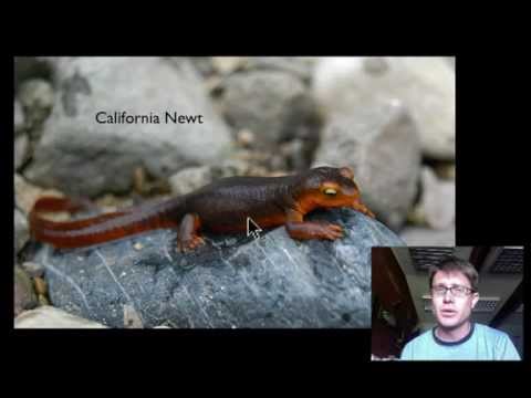 Effects of Changes in Pathways