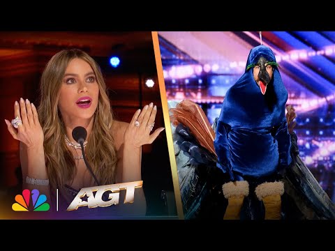 Sethward RETURNS?! Hilarity Ensues as a Wild Peacock Auditions | AGT