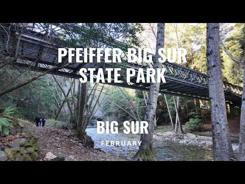Pfeiffer Big Sur State Park | The River Path, Majestic Redwoods, and the Buzzard’s Roost Trail View