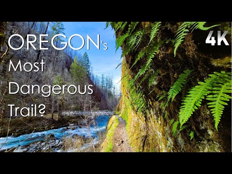 Hiking Eagle Creek, From First to Last Waterfall - No Talk, No Music, Just Nature. - 4K Virtual Hike