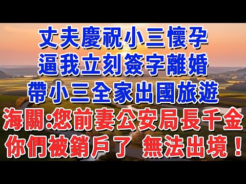 丈夫慶祝小三懷孕，逼我立刻簽字離婚，帶小三全家出國旅遊，海關：您前妻是公安局長千金，你們被銷戶了 無法出境！#妮妮故事會 #情感故事 #老年生活