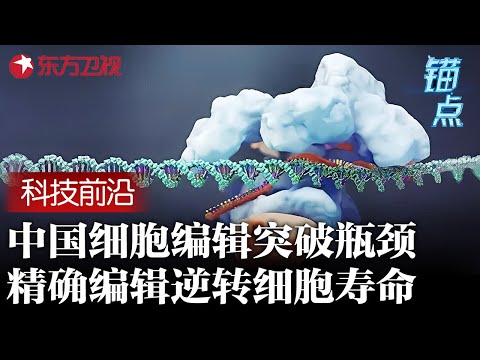 中国细胞编辑技术突破瓶颈! 精确基因编辑逆转细胞寿命,全球科学界震惊: 人类或将迎来新时代 #锚点 FULL