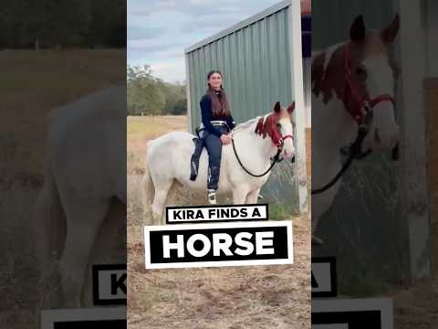 Kira Finds A Horse
