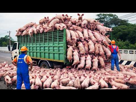 Los Errores Más Ridículos de los Trabajadores Captados por las Cámaras