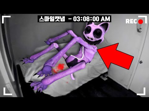 주노말리 괴물들에게 납치된 캣냅이 스마일캣이 됐습니다..