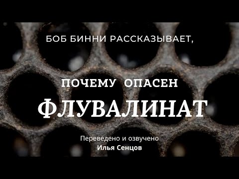 Почему ФЛУВАЛИНАТ опасен и зачем нужна ротация соторамок (Боб Бинни, США)