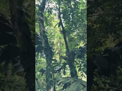 What? Who is making those sounds? Can you hear it?