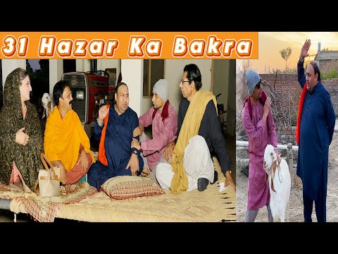 Tasleem Abbas and Soni New Prank || 31 Hazar Ka Bakra @TasleemAbbasOfficial