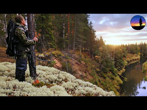 Taiga, Village, Grayling, Boletus Mushrooms, Bears. A Huge Beast Came to the Tent in Broad Daylig...