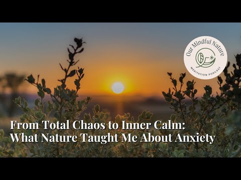 From Total Chaos to Inner Calm: What Nature Meditation Taught Me About Anxiety