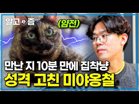 "아니, 이렇게 순식간에 바뀐다고?" 처음 보자마자 문제 원인을 파악한 김명철 수의사의 솔루션으로 냥과천선(?)한 캣휠 집착냥│고양이를 부탁해│알고e즘