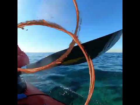 Seakayak. Athens Riviera.Voula Town Hall beach, Niriides,Katramonisi,PIKPA. Birdwatching.Gopro max