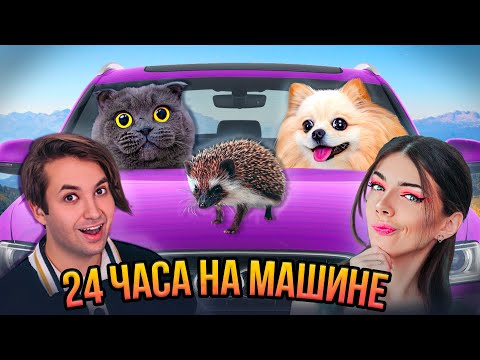 24 ЧАСА В МАШИНЕ С ЕЖИКОМ, КОТИКОМ И ПЕСИКОМ | ПУТЕШЕСТВИЕ С КОШКОЙ И СОБАКОЙ НА МАШИНЕ и еще с Ежом