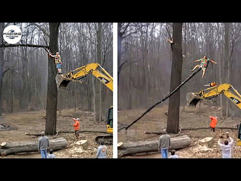 Idiots With Chainsaws: Tree Cutting Fails | Extreme Dangerous Logging Truck Fails #17