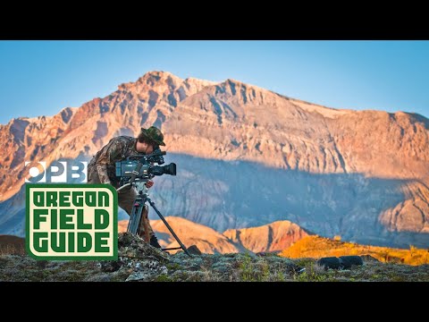 Volcanic Rumblings In The Cascades? | Oregon Field Guide
