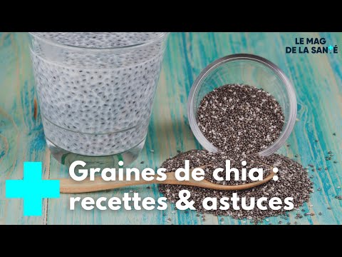 Les secrets des graines de chia - Le Magazine de la Santé