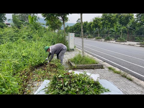 Clearing more than 1km of overgrown grass on both sides of the sidewalk made people happy
