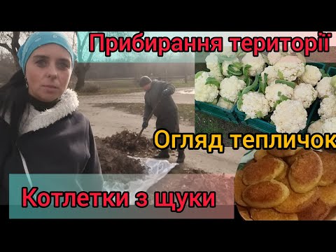 Cleaning the territory 🏡 Inspection of greenhouses 🥬 Pike cutlets 🍴