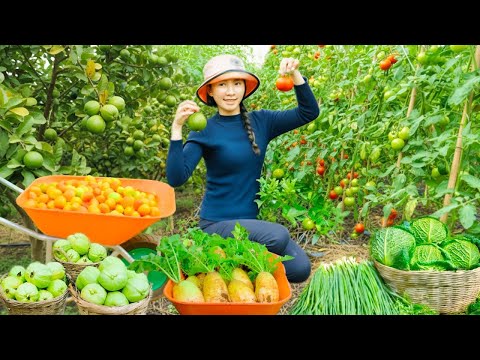 Harvest Fresh Cabbage, Green Onions, Guava, Tomatoes, Korean Radish, Plant Trees and Raise Livestock