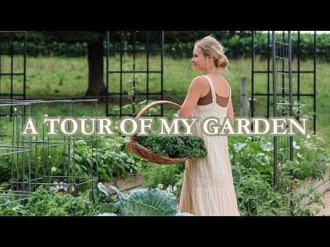 My Backyard Garden Tour!