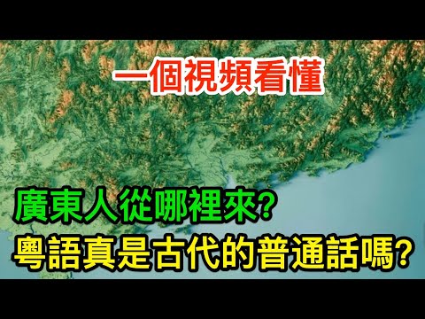 廣東人從哪裡來？粵語真是古代的普通話嗎？一個視頻看懂 #粵語 #廣東話