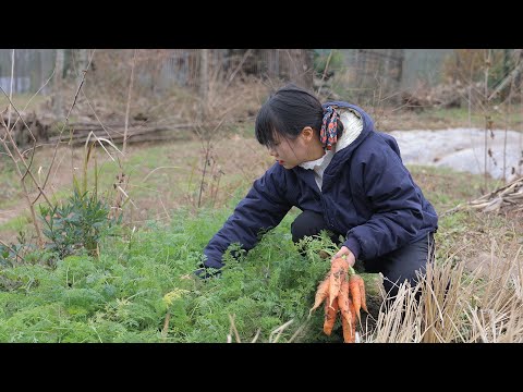 【二米炊烟】Bibimbap with Chili Sauce. 寒冷的冬天，用各種蔬菜製作的拌飯，既暖和又美味