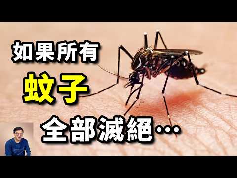 Why do some people attract mosquitoes?  The world's deadliest animal#animal #insect #science