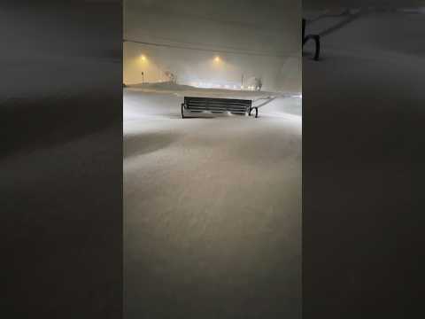 Snowy late night walk at Hamburg Beach