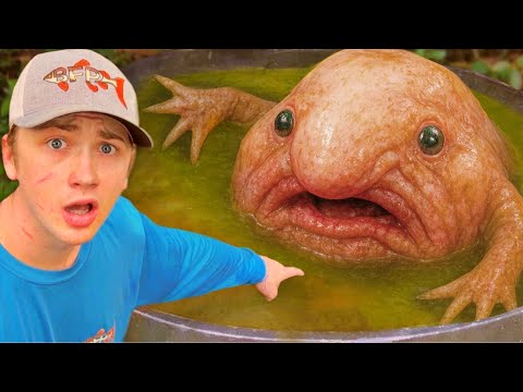 I Found a Secret Pond Full of Monsters!