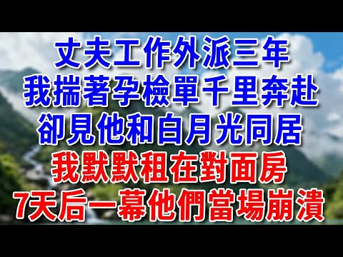 丈夫工作外派三年，我揣著孕檢單千里奔赴，卻見他和白月光同居，我默默租在對面房，7天后一幕他們當場崩潰！ #好運年#為人處世#生活經驗#情感故事#養老#睡前故事