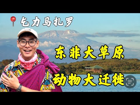 深度体验动物大迁徙，简直跟电影一样，乞力马扎罗太震撼！