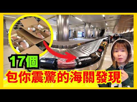 【17個機場安檢驚人發現】一個包裹入面、竟然藏著18個○頭? 每一單都令人難以想像！CC中文字幕 #離奇 #奇怪 #古怪