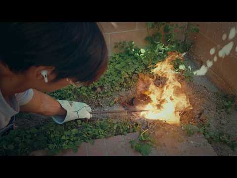 Can You Make a Chef's Knife… with NO EXPERIENCE?