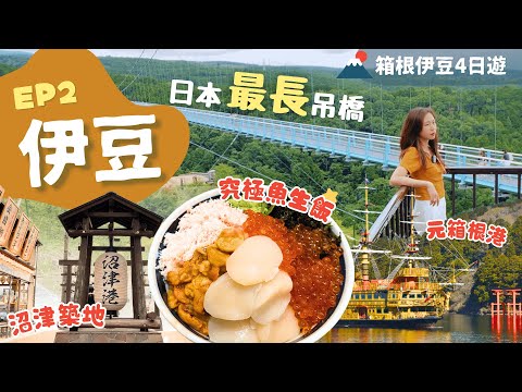 【伊豆旅行】EP2箱根-三島:去完箱根去這裡就對了!海賊船特別室超美✨慢遊沼津港魚市場吃人氣魚生飯\日本最長吊橋📸沼津港水門打卡/富士見酒店推介|附詳細交通|靜岡|東京近郊|一人旅|箱根伊豆4日遊