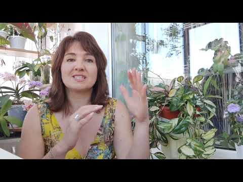 ХОЙИ | уход и содержание | МОЙ ОПЫТ