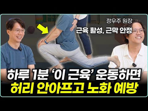 [장요근 실습편] 허리 통증 없애고 항노화 하고 싶다면, 집에서 '이 근육'을 운동하세요 | 장요근
