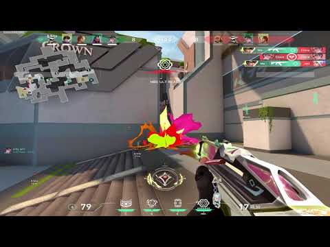 how a top LAPTOP aimer looks like