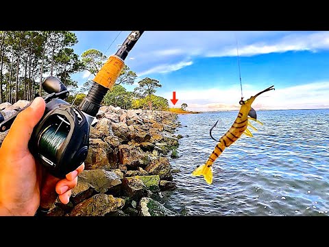 Fishing a JIG! on these JETTY ROCKS *EPIC Results*
