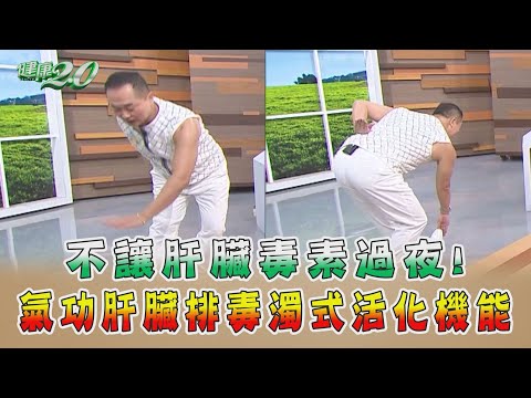 不讓肝臟毒素過夜！氣功 肝臟排毒濁式 活化機能！ 健康2.0精華 氣功名師 彥寬@tvbshealth20