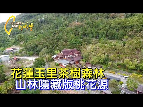 澳洲建材商為愛女舉家回台 種下千棵有機茶樹復育生態∣一步一腳印【守護女兒的茶樹森林】20250608