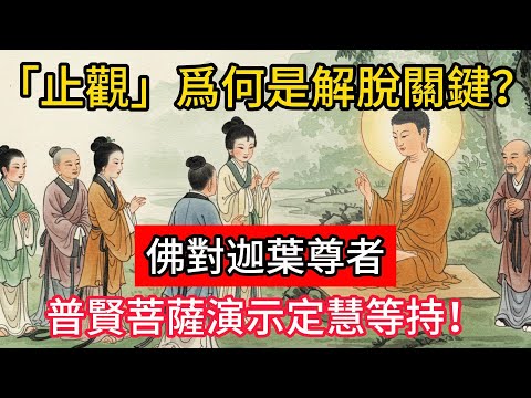 「止觀」爲何是解脫關鍵？佛對迦葉尊者，普賢菩薩演示定慧等持！#佛學 #正能量 #菩提解脫道 #佛教文化 #佛教故事 #人生感悟