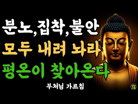 Let go of anger, obsession, and anxiety, and peace will come. | Buddha's words | Buddhist quotes ...