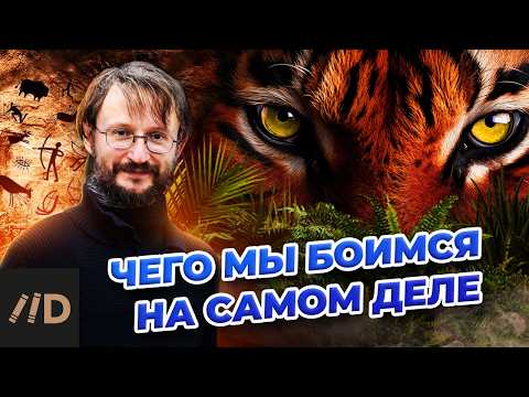 Чего мы боимся на самом деле? | Станислав Дробышевский